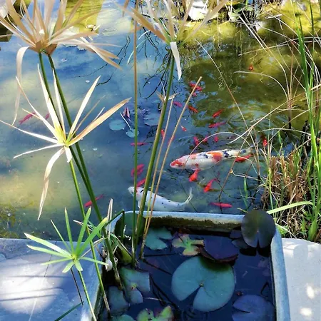 Appartamento Les Pieds Dans L'eau *